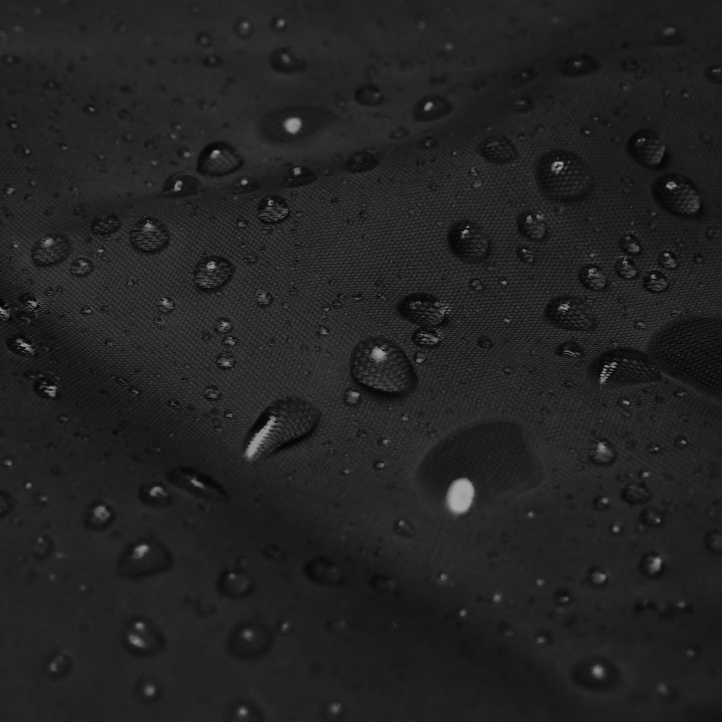 Surface Level Sports Club League Embroidered Windbreaker Coat
